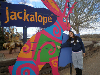 Shopping at the Jackalope store