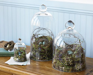 Nests and Glass Dome Spring Decorations