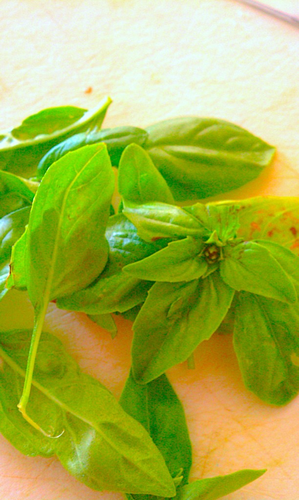 fresh basil