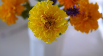 Simple Fall Tablescape using Marigolds