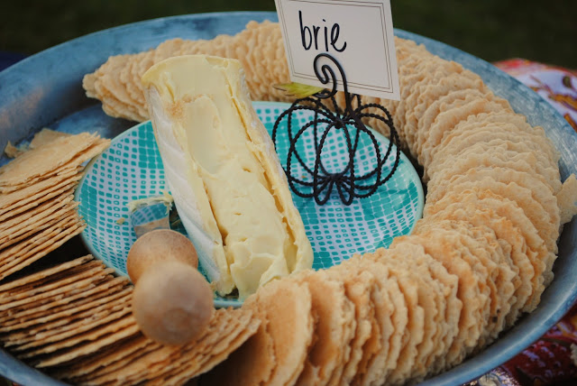Brie heese and crackers appetizers, Summer lake party