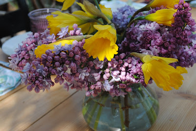 Lilacs and daffodils, flowers from the garden