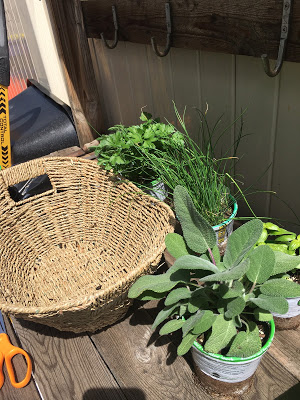How to make a Herb basket- The Style Sisters, Fresh herb basket