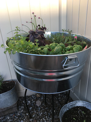 Container gardening- bucket of herbs- The Style Sisters
