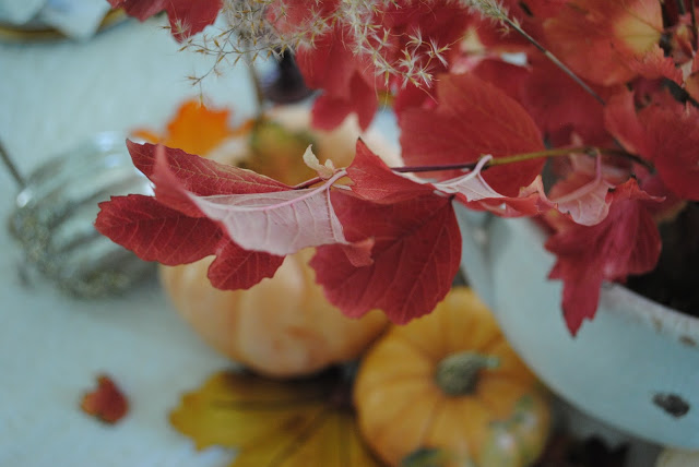 Fall centerpiece pumpkins and leaves, Fall decorations