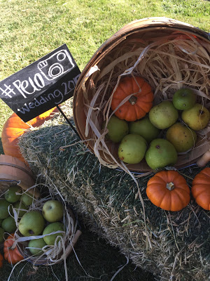 rustic outdoor wedding decoration idea, baskets, apples and mini pumpkins. Outdoor rustic wedding reception at home