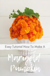 Easy marigold pumpkin tutorial. Use marigolds from your garden to create this adorable fluffy marigold pumpkin.