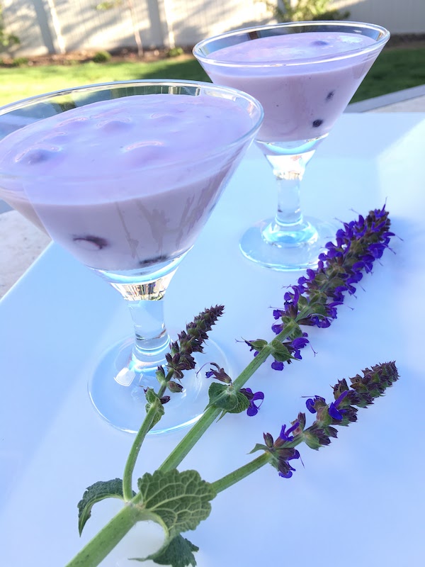 Frozen Blueberry dessert made with yogurt, cream and blueberries- Karins Kottage