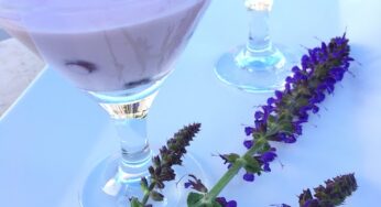Frozen Blueberry Dessert or Popsicle Recipe