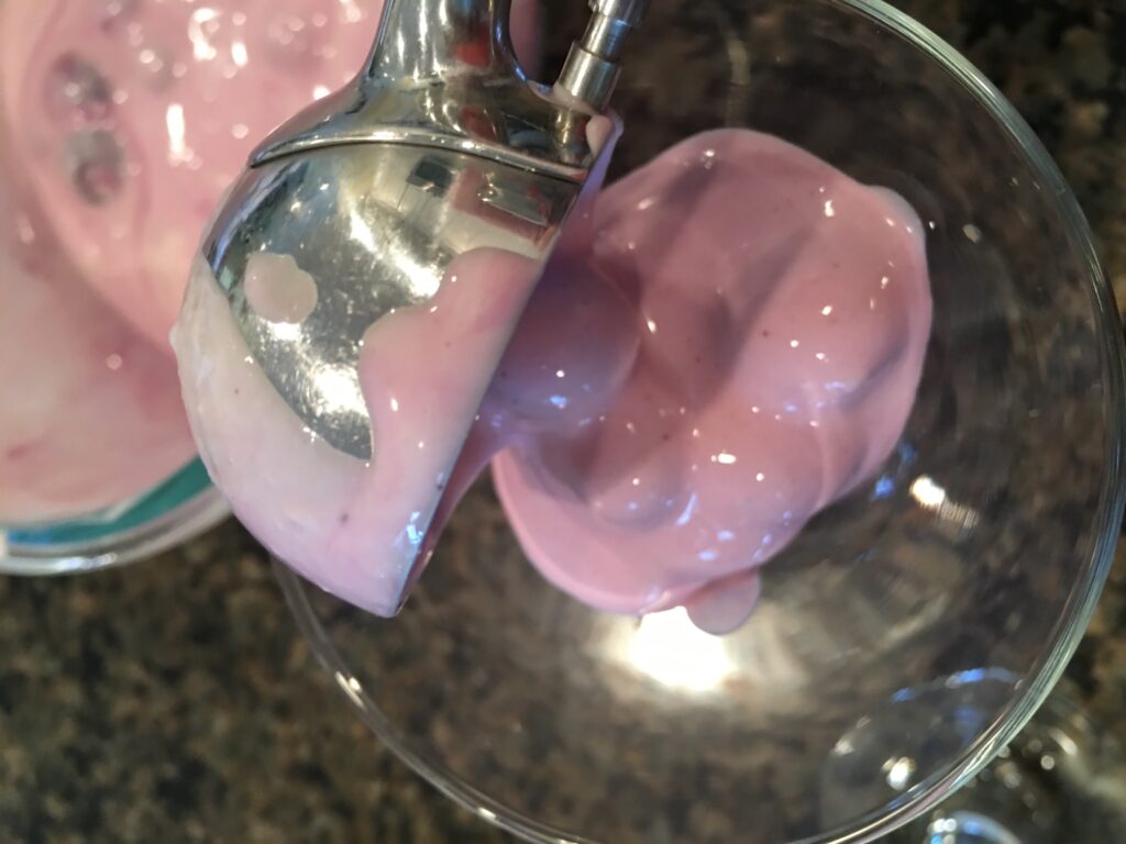 Mini martini glasses for frozen Blueberry dessert recipe