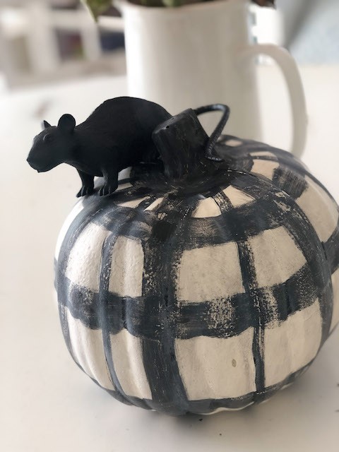 buffalo check painted pumpkin