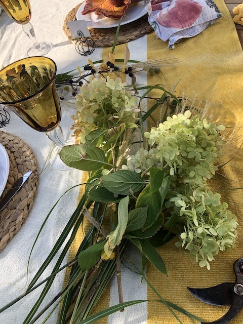 cutting limelight hydrangeas for vase