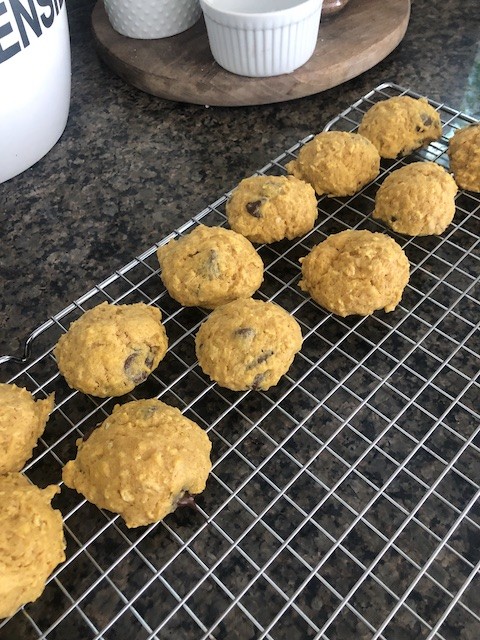 Pumpkin chocolate chip cookies baked