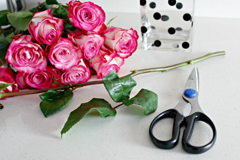 Make cut roses last longer- Karins Kottage