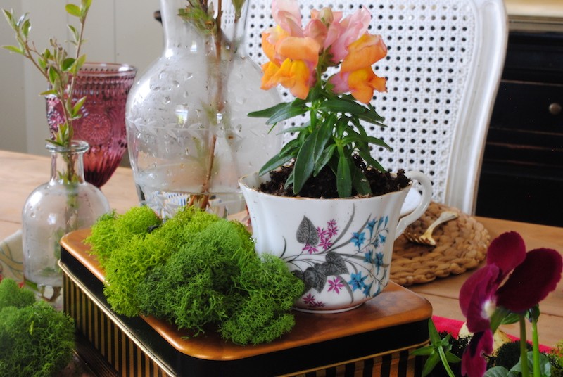 Tea cups planted with flowers on Easter Table