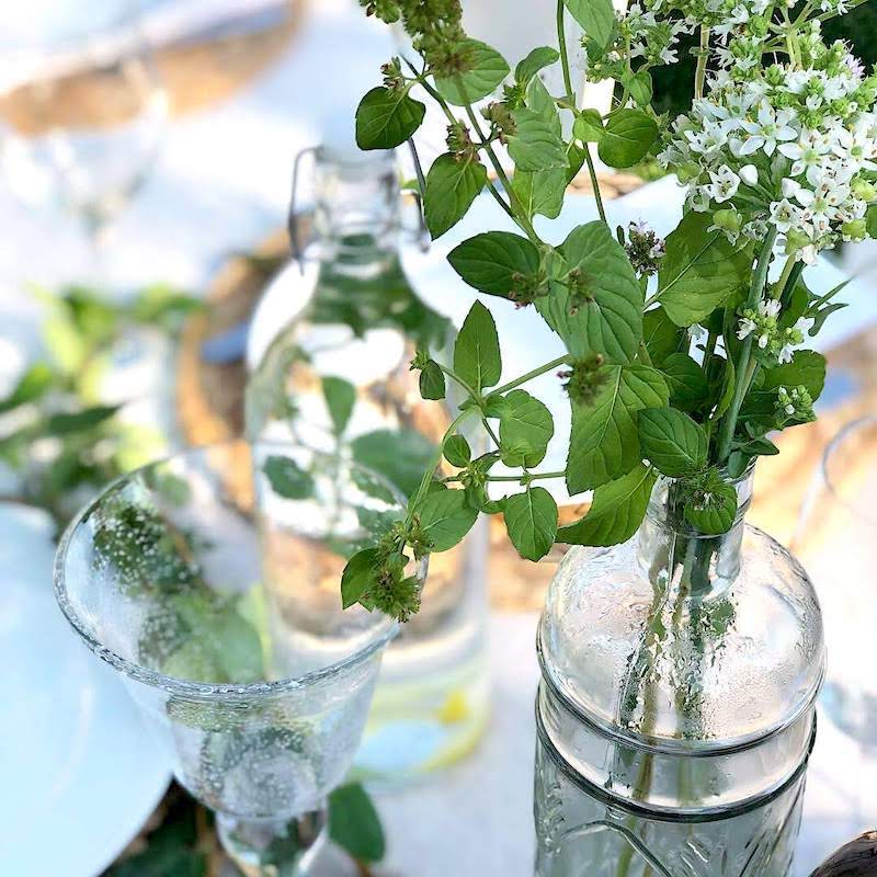 clear dollar store bottles with cuttings from yard