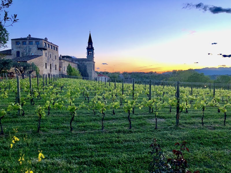 Castles cooking and biking in Italy- Semivicoli Castle evening view