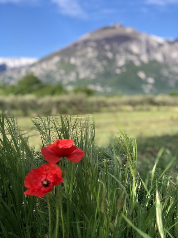 Traveling in Italy during covid- Castles, Cooking and Biking