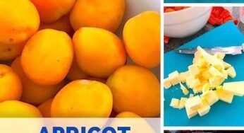 Apricot crisp summer dessert