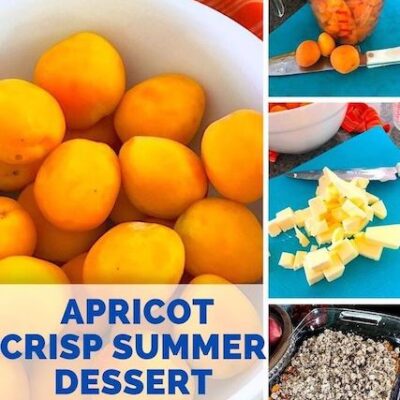 Apricot crisp summer dessert