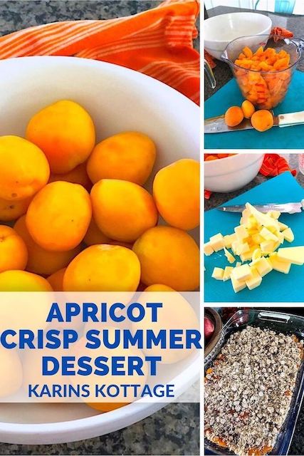 Apricot summer crisp dessert