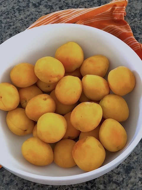 Fresh apricots for summer crisp dessert
