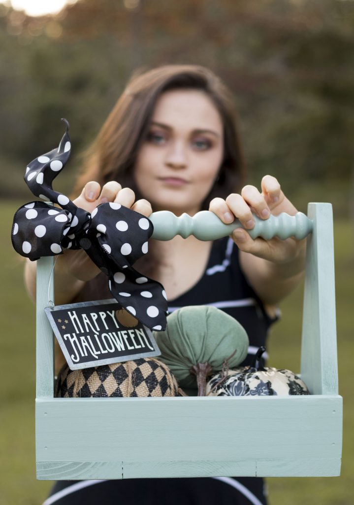 Halloween wooden tool box