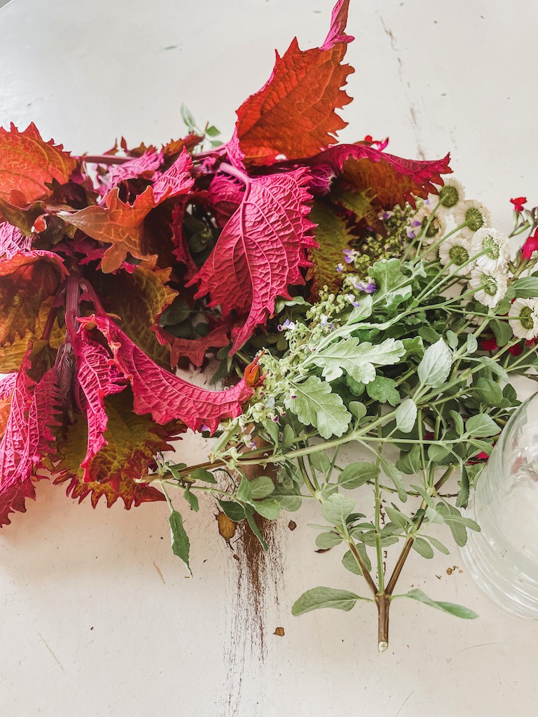 red leaf stems and flowers