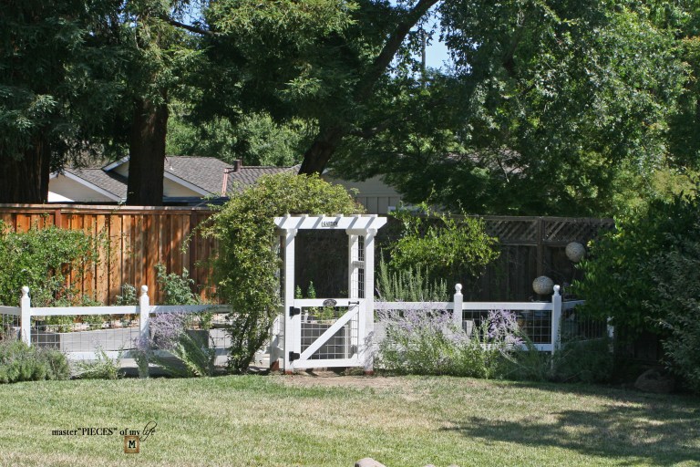 vegetable garden picket fence