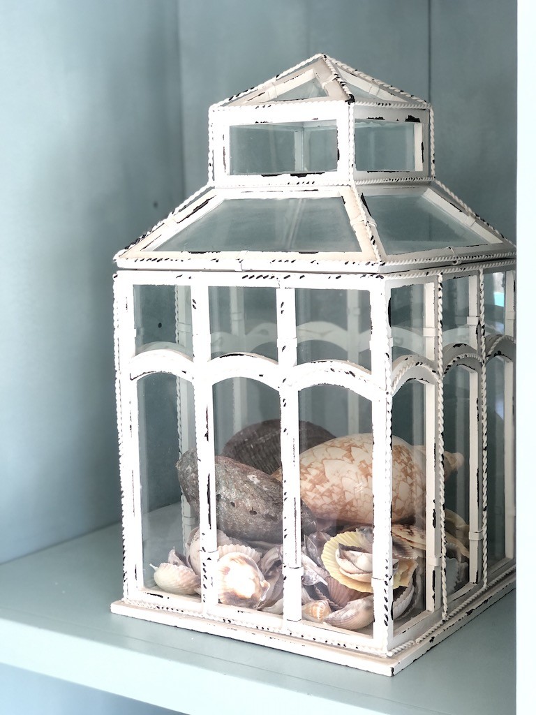 White chippy glass terrarium filled with sea shells