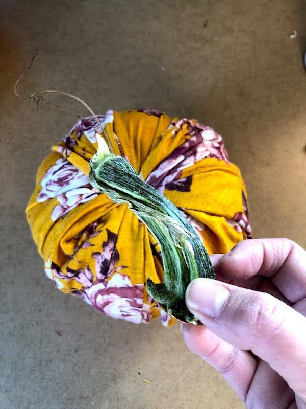 Real pumpkin stem for fabric wrapped pumpkin