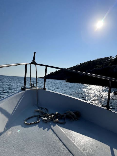 wooden boat tour around tremiti islands