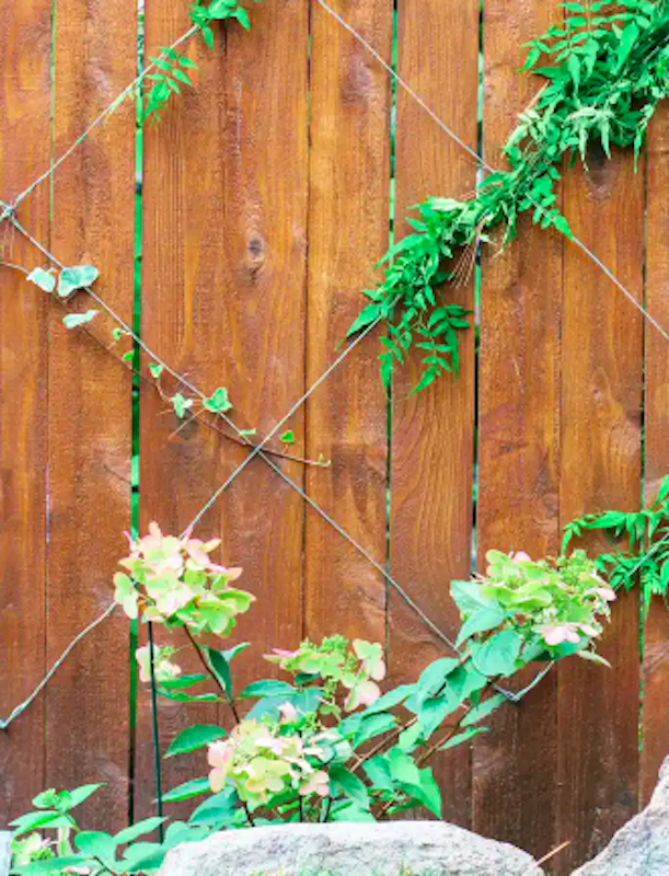 Karins Kottage LInky Party #268- Espalier Trellis