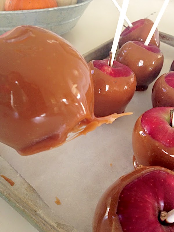 Caramel apples drizzled with chocolate