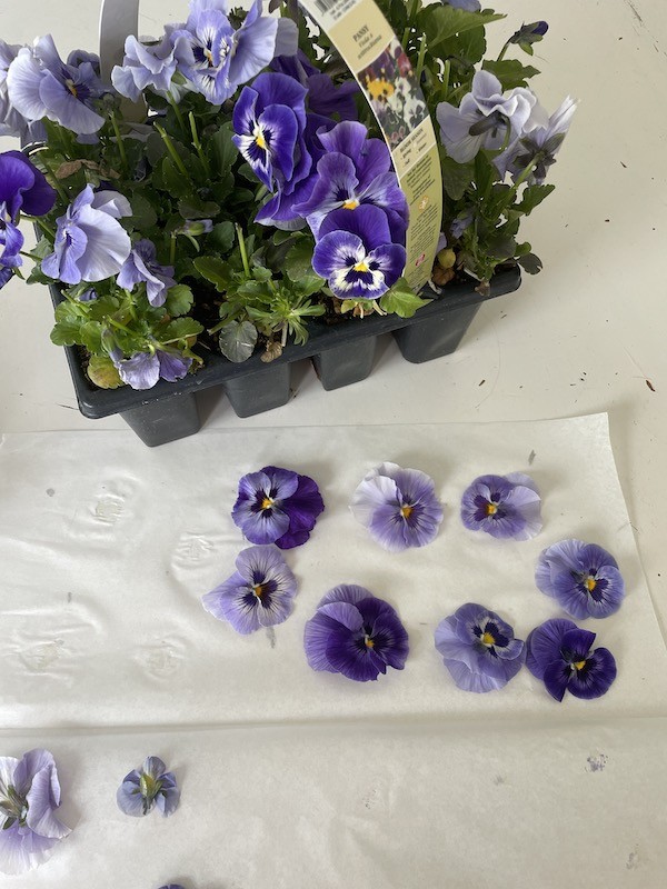 How to Make Pansy Topped Shortbread Cookie: