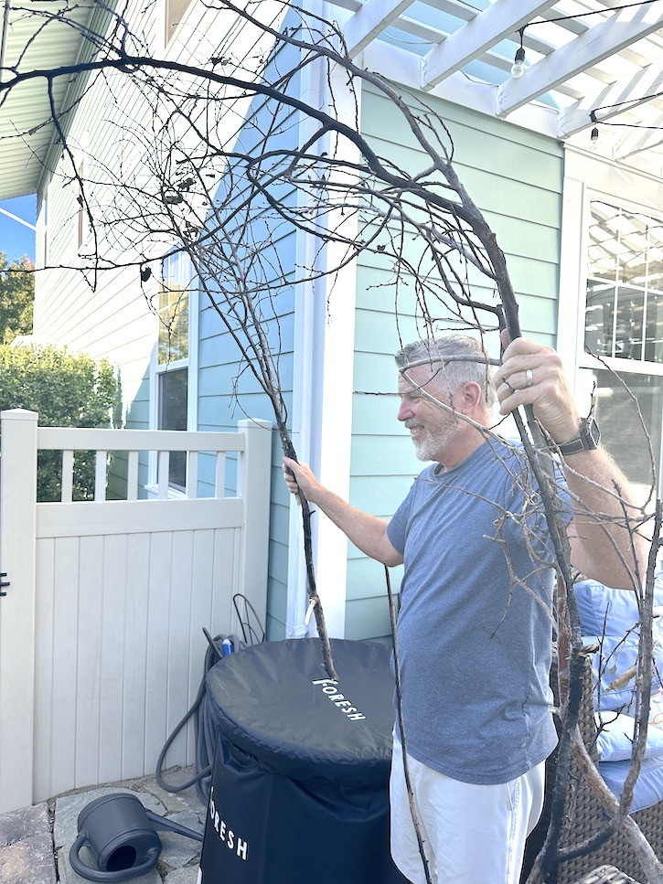 Halloween Porch Ideas