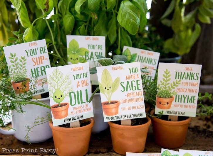 DIY gifts and recipes