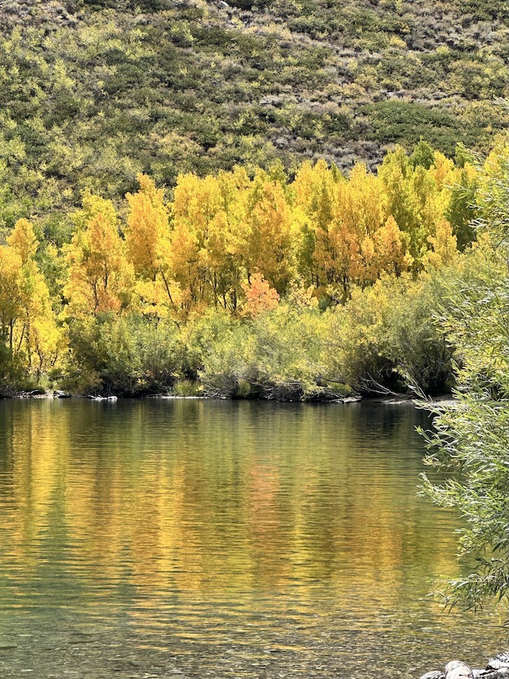 Fall trip to Yosemite and Mammoth Lakes