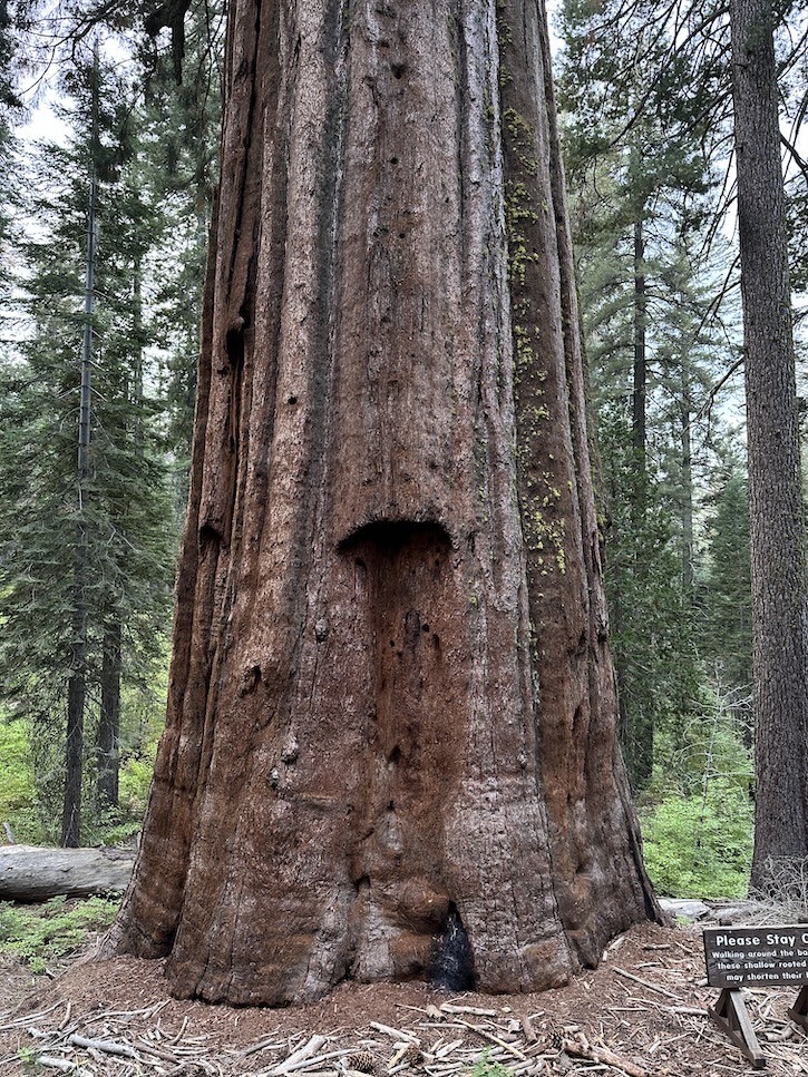 Fall trip to Yosemite and Mammoth Lakes